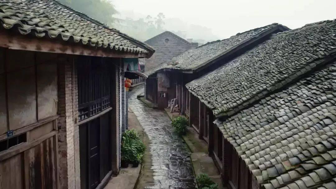 拯救小学生